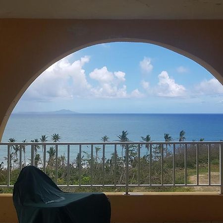 Beautiful View From The Terrace Hotel Humacao Zewnętrze zdjęcie